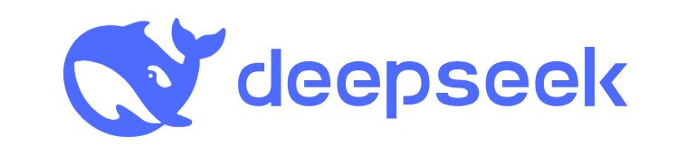 DeepSeek Company