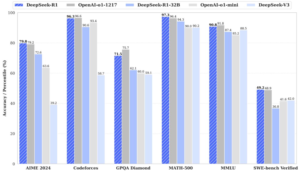 Type of DeepSeek Model